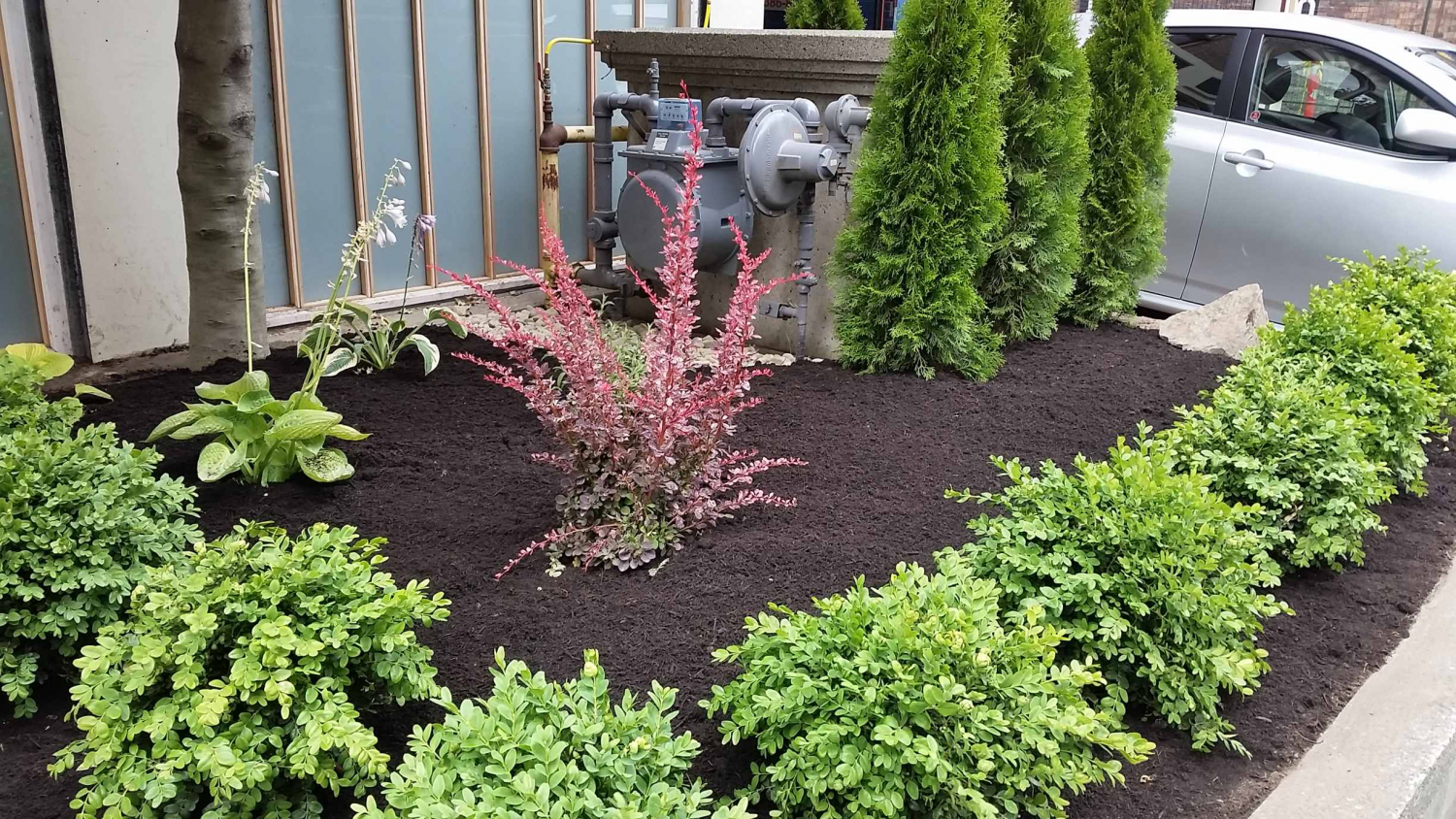 Downtown Victoria Landscaping True Earth Landscapes