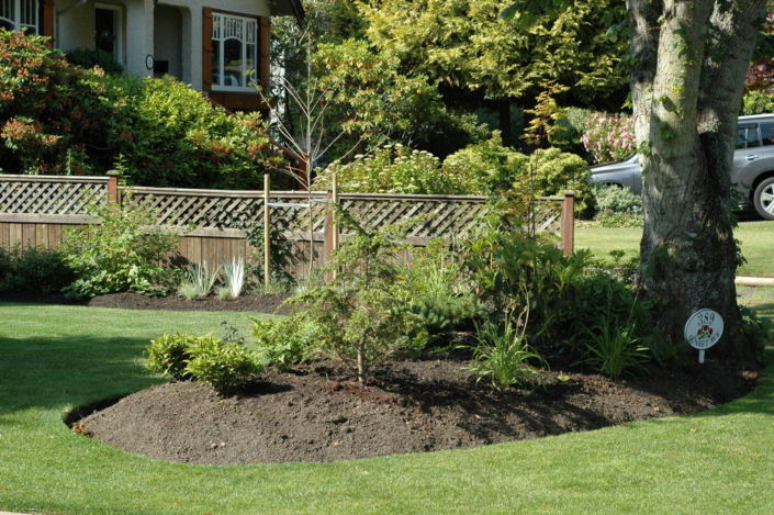 front garden and landscaping