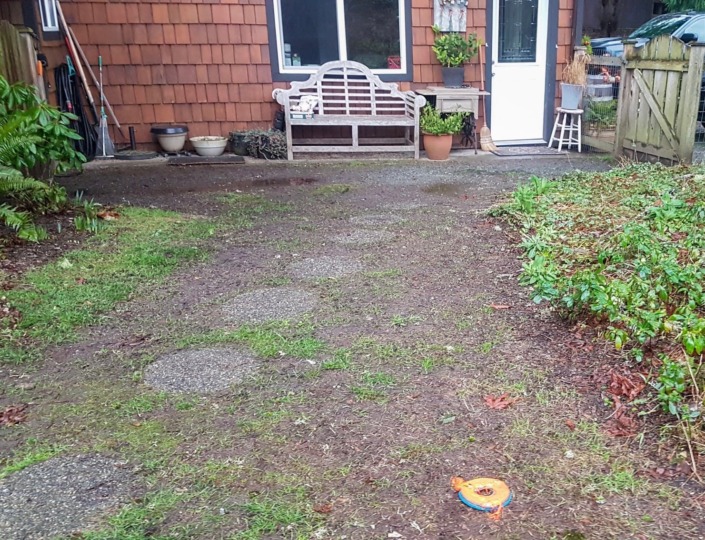 Unfinished back yard with old paving stones