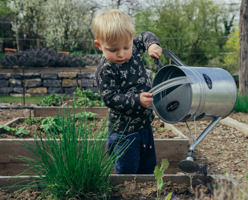 Watering the garden