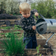 Watering the garden