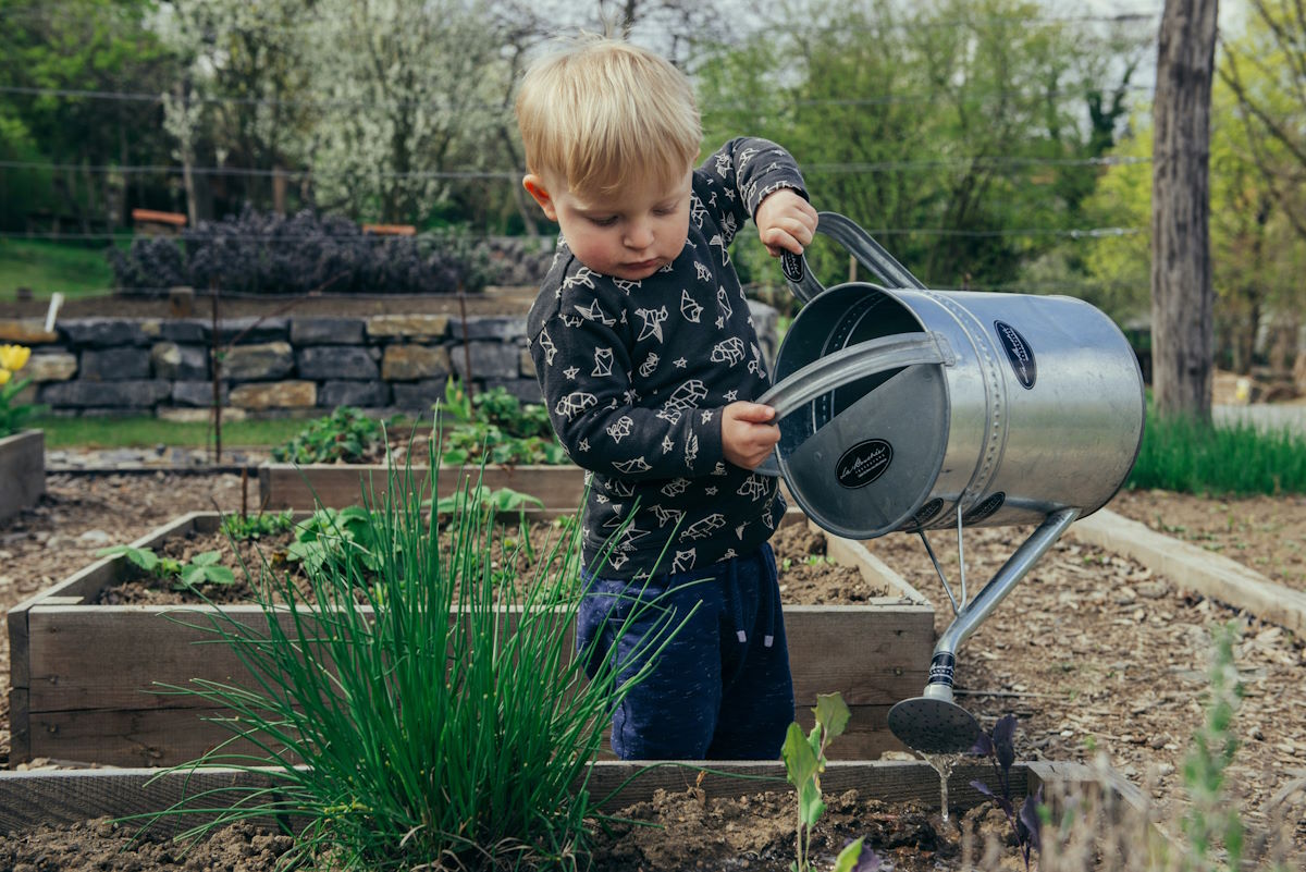 Watering the garden