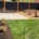 Porcelain tile landscaping installation